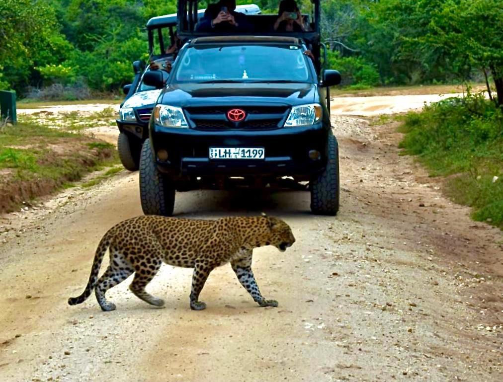 Yala Safari Village Maha Akurugoda 外观 照片